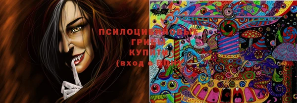 Альфа ПВП Абаза